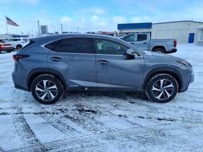 2019 Lexus NX 300h Base