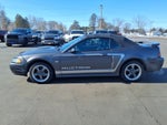 2003 Ford Mustang GT Deluxe
